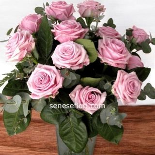 Bouquet 12 Rose rosa