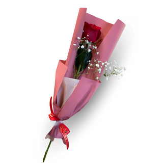 Elegancka róża z przybraniem w opakowaniu
