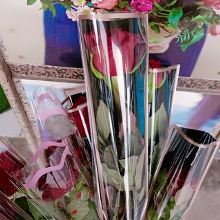 ورود فردية طبيعية لاغلى الاحباب 