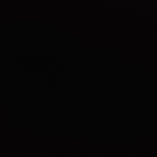 Ciuperci cu urechi de lemn