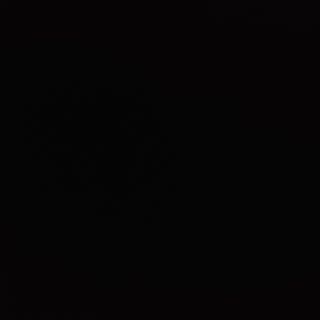 Ciuperci cu urechi de lemn