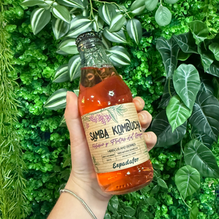 Kombucha Hibisco y Frutas del Bosque