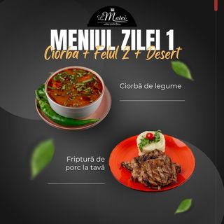 OFERTA MANCARE GATITA 1