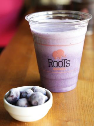 Blueberry Protein Shake