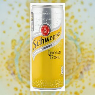 Schweppes Indian Tonic  (0.33л)
