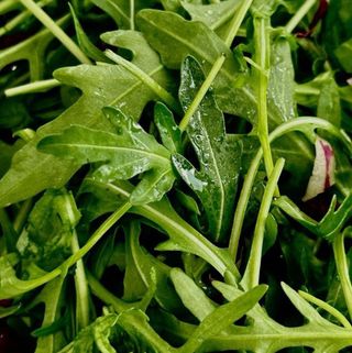 Додаток мікс салату