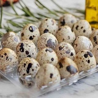 Яйце перепелине (1 шт)