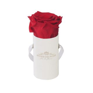 Trandafir criogenat rosu