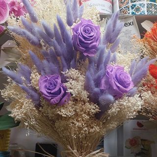Fiori secchi della Rosa Viola e stabilizzata bellissima