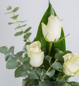 Rosas Blancas 3 Unidades