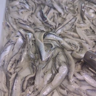 Alici marinate