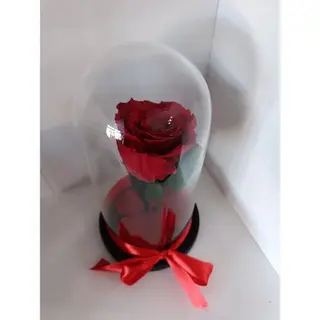 Cupola cu trandafir criogenat rosu