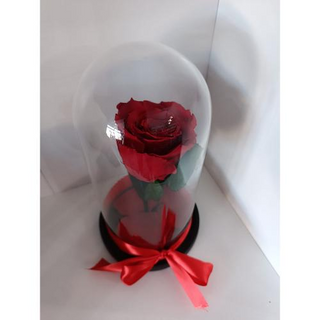 Cupola cu trandafir criogenat rosu