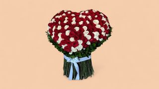 200 ჰოლანდიური ვარდი