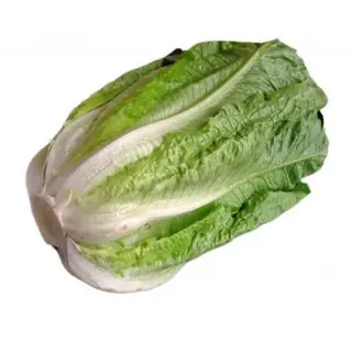 Lechuga Romana Unidad