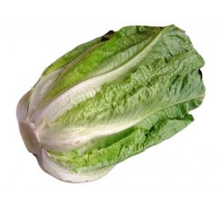 Lechuga Romana Unidad