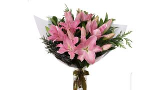 ვარდოსფერი ლილია