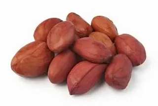 G.Nuts 