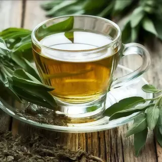 Té verde (M)