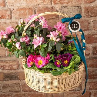 Kosz kwiatów For You