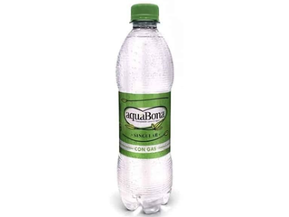 Agua con Gas Singular PET50  (Ud)