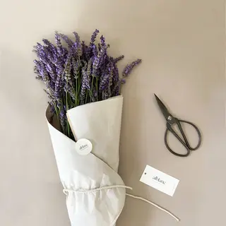 Ramo de Lavanda 