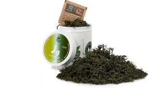 Jiagulan do Aromaterapii
