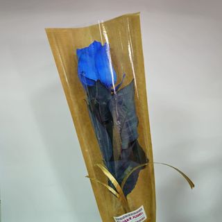 Rosa Azul
