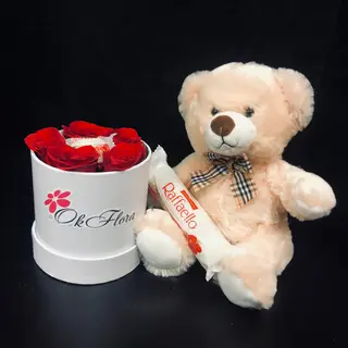 Cutie cu Trandafiri, Ursuleț și Raffaello