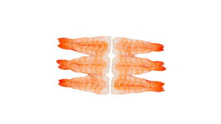 Scampi sashimi