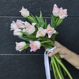 Ramo de 11 Tulipanes Crown Rosado