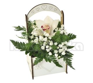 Cvet orhideje u korpici (ASP 018)