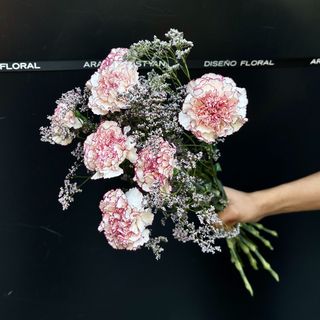 Ramo de 7 Claveles Rosado y Limonium