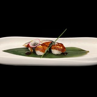 M027 Nigiri anguilla