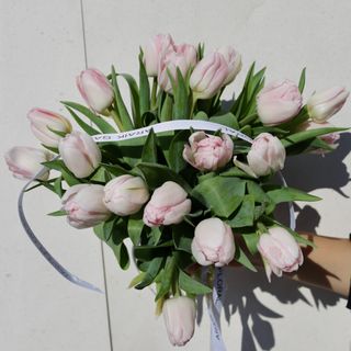 Ramo de 21 Tulipanes Rosado