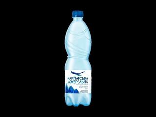 Вода питна Карпатська Джерельна сильногазована 0.5 л (500ml)