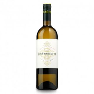 Botella DO Rueda Jose Pariente (Verdejo)