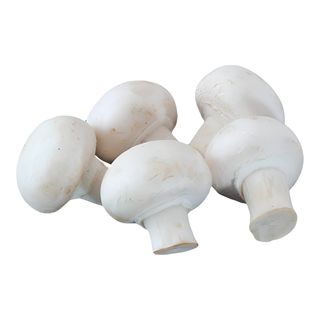 Пресни печурки