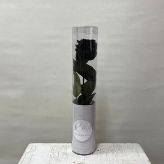 Rosa Preservada Negra