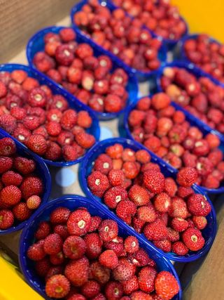 Fragoline di bosco 100 g