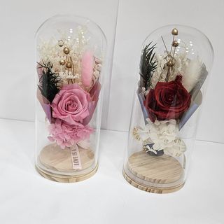 Rosa preservada em campânula 