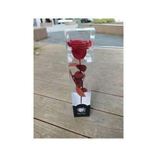 Rosa preservada PQ Roja