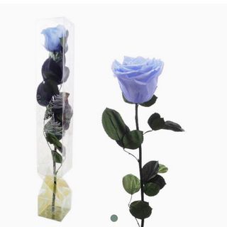 Rosa Eterna Azul Claro Grande