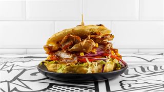 Doner classic kebab