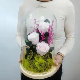 Cupula 3 Rosas Preservadas