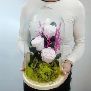 Cupula 3 Rosas Preservadas