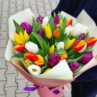 RAMO DE TULIPANES 