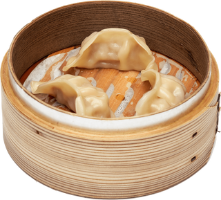 20 Gyoza di carne