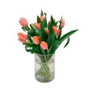 Tulipanes naranjas (10 uds)