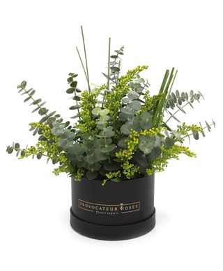 Caja Decorativa Con Aromas Frescos